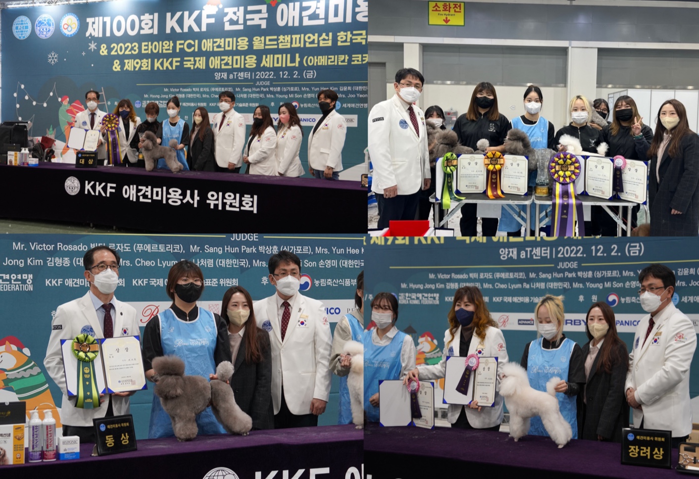 제100회 kkf전국 애견미용 에서 학생들과 교수님들 상장을 들고, 미용 된 애견과 함께 단체 사진 4장을 붙여놓은 이미지
