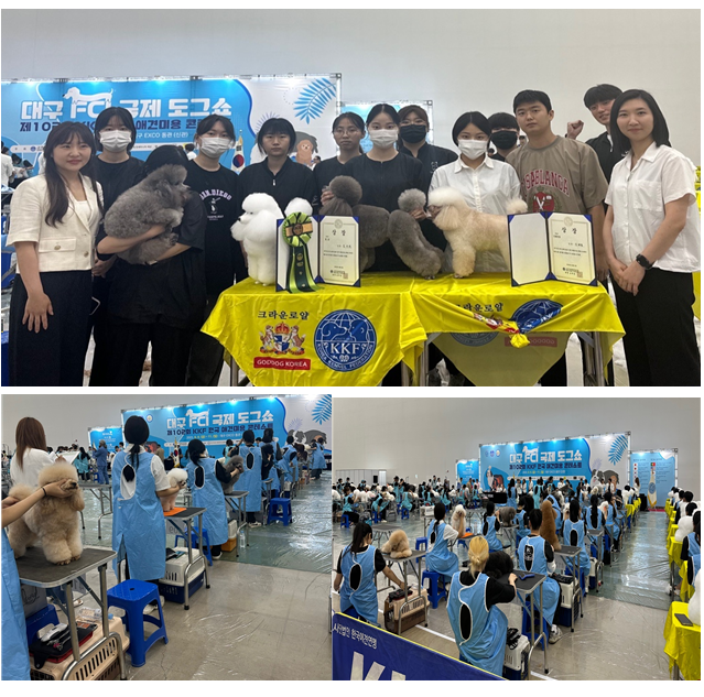 상단 이미지 제102회 한국애견연맹 전국 애견미용콘테스트 받은 상과 미용한 애견들을 안거나 상 위에 올려두고 단체사진을 찍고 있다. 하단 왼쪽 오른쪽 이미지는 학생들이 애견 미용을 하고 있는 사진