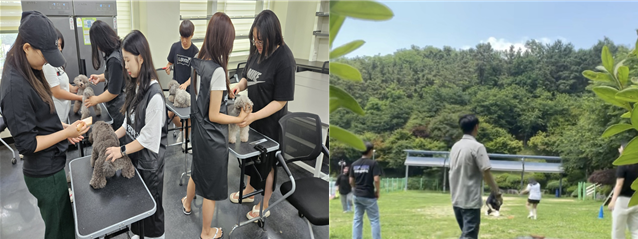 왼쪽 사진은 2인 1조로 한명은 반려동물을 잡고 있고, 한명은 미용을 하고 있는 사진, 오른쪽 사진은 야외 수업을 하고 있는 사진