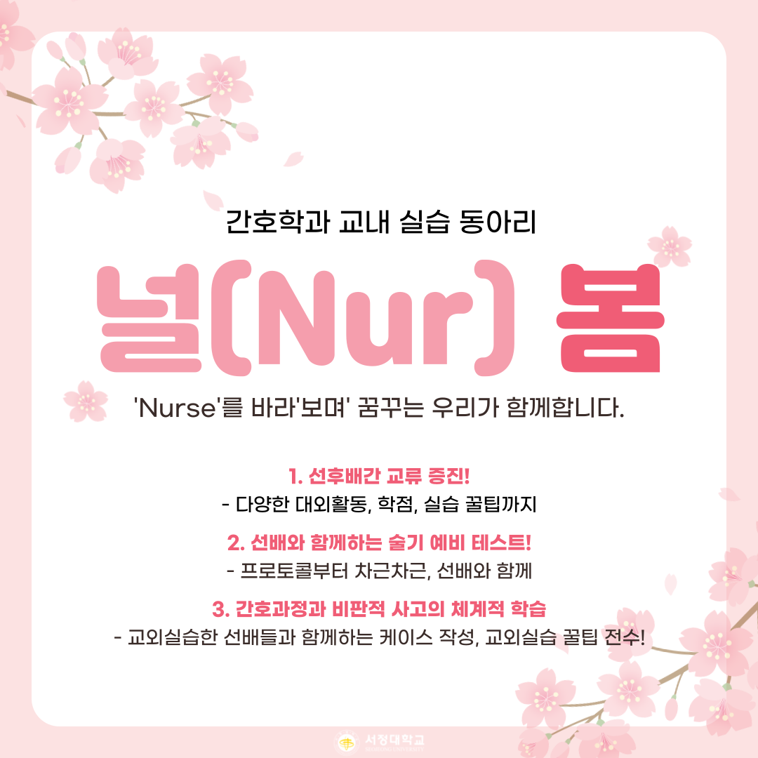 서정대학교 널(Nur) 봄